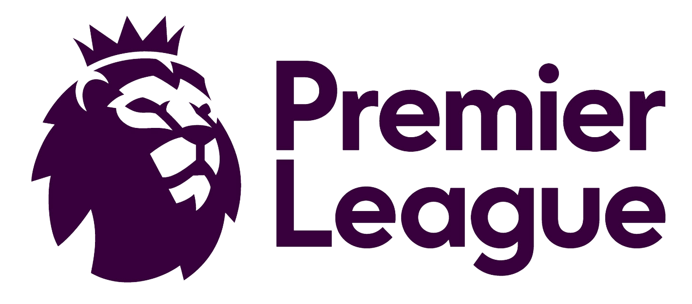 Premier League club testimonial